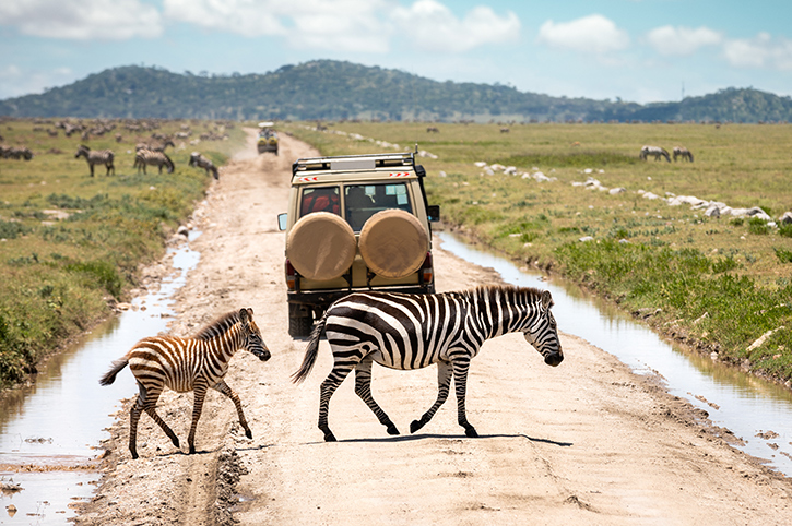 Serengenti Nationalpark