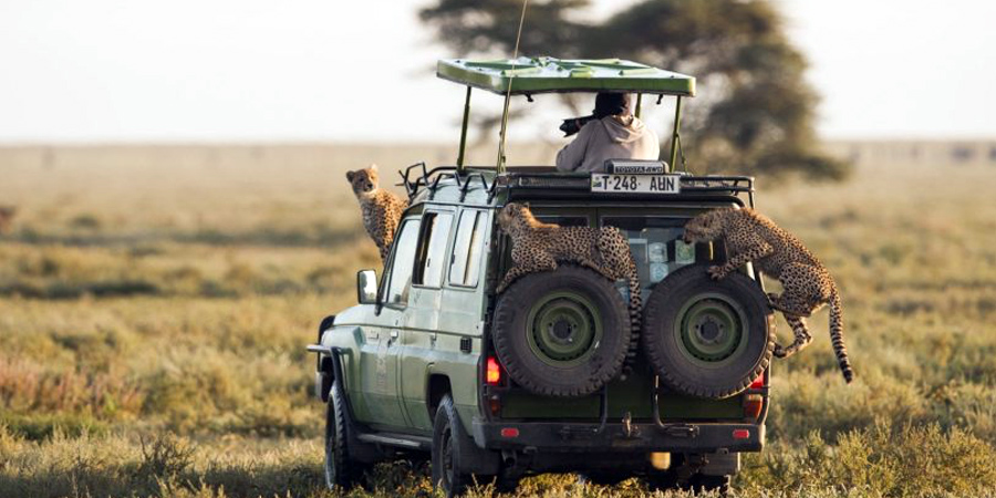 serengeti_seeafricatoday